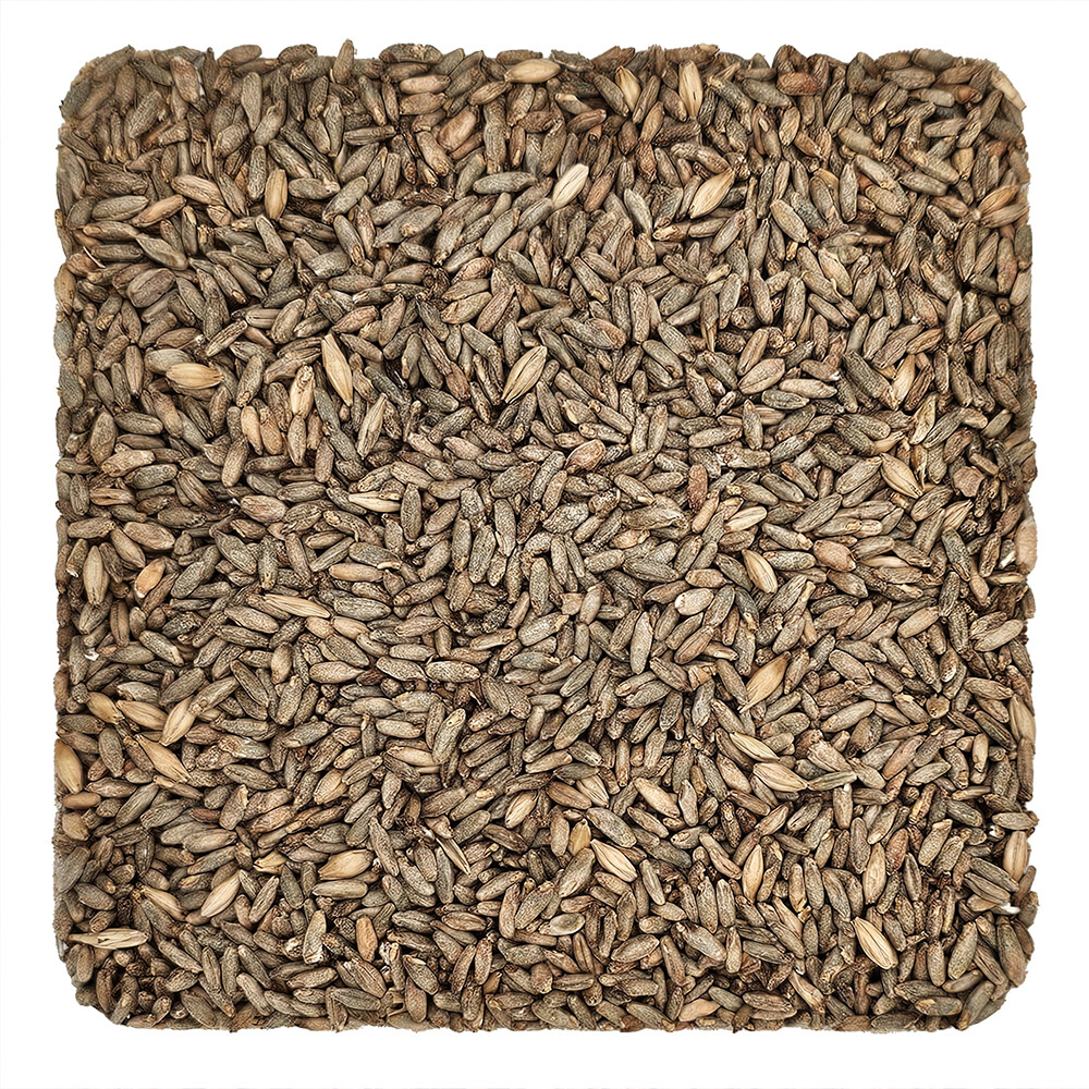 Home Brew Ohio Gambrinus Rye Grain 55lb