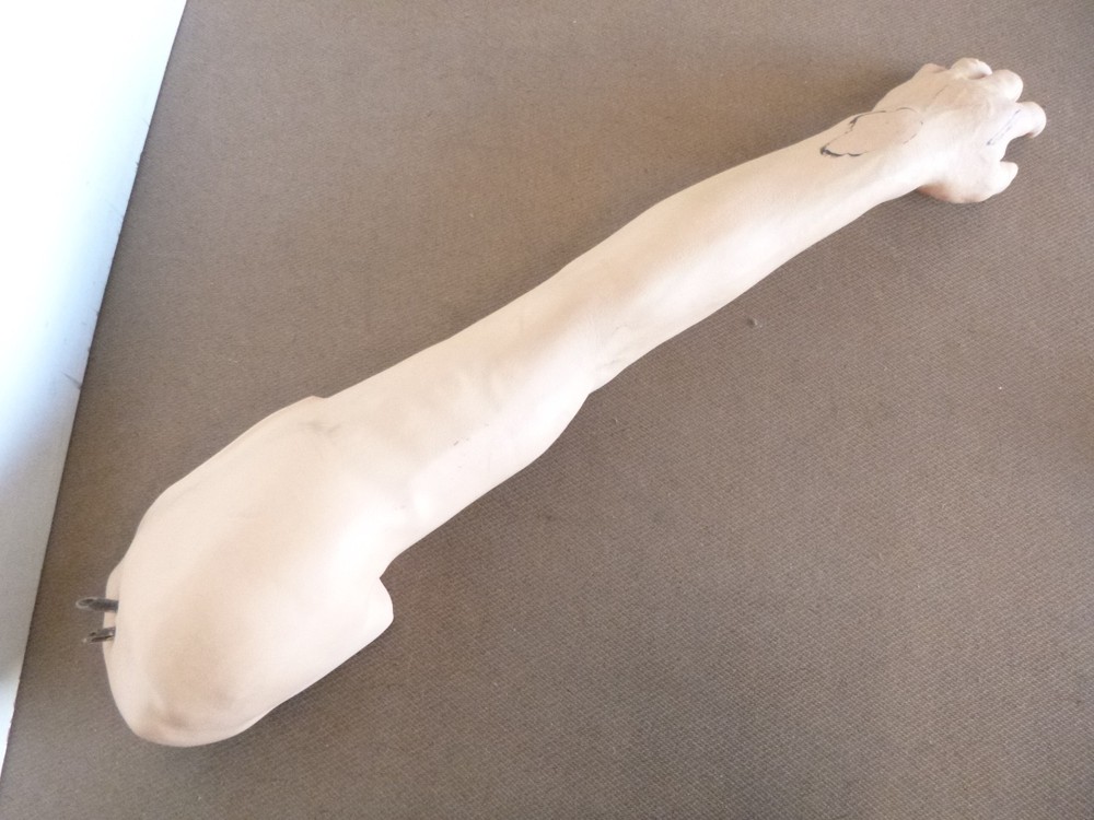 Nasco Life/Form IV Injection Training Arm