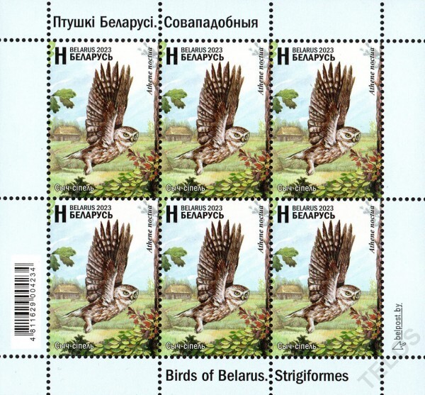 2023 Belarus Owls Birds of Belarus - Stringiformes MNH