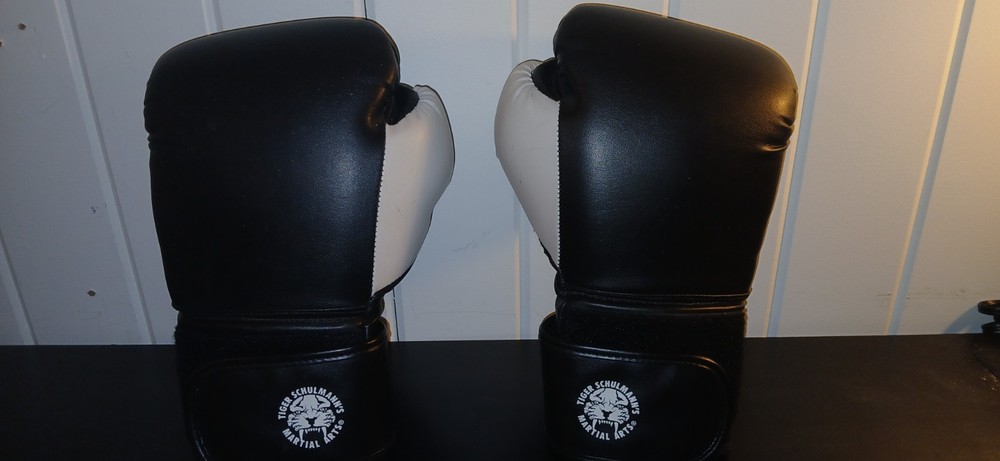 Boxing Gloves 12 oz