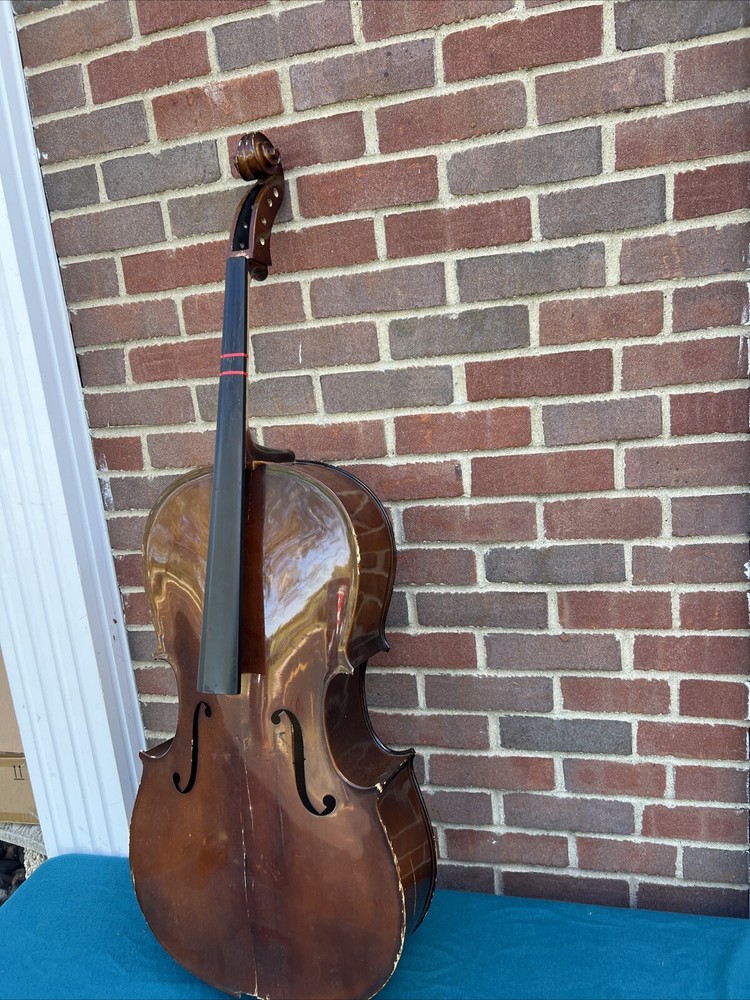 RS Berkeley 3/4 Cello Parts Repair Display