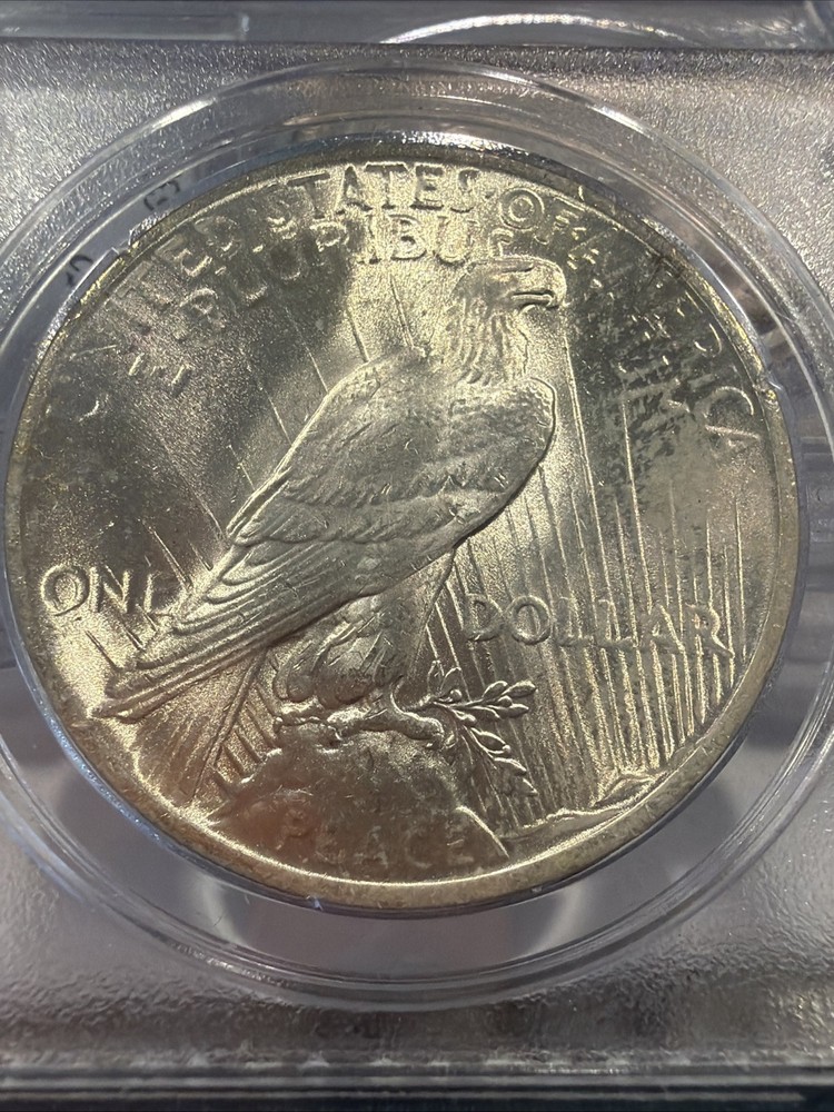 1923 Peace Silver Dollar - PCGS Certified MS64 !! 032425