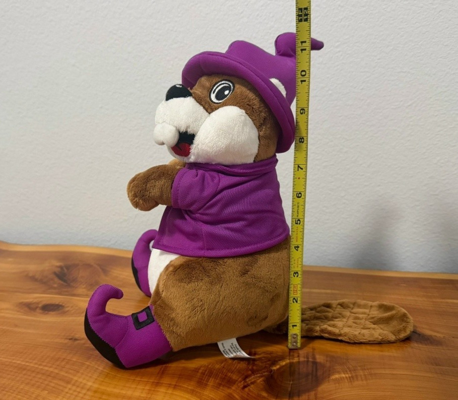 Buc-ees Halloween Wizard Beaver Plush Stuffed Animal