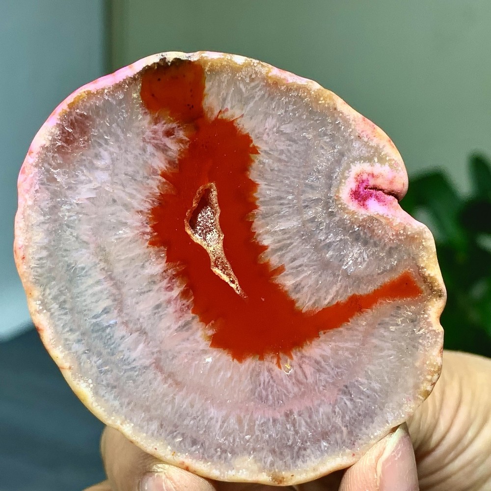 42G Natural Beautiful Agate Geode Druzy Slice Extra Large Gemstone
