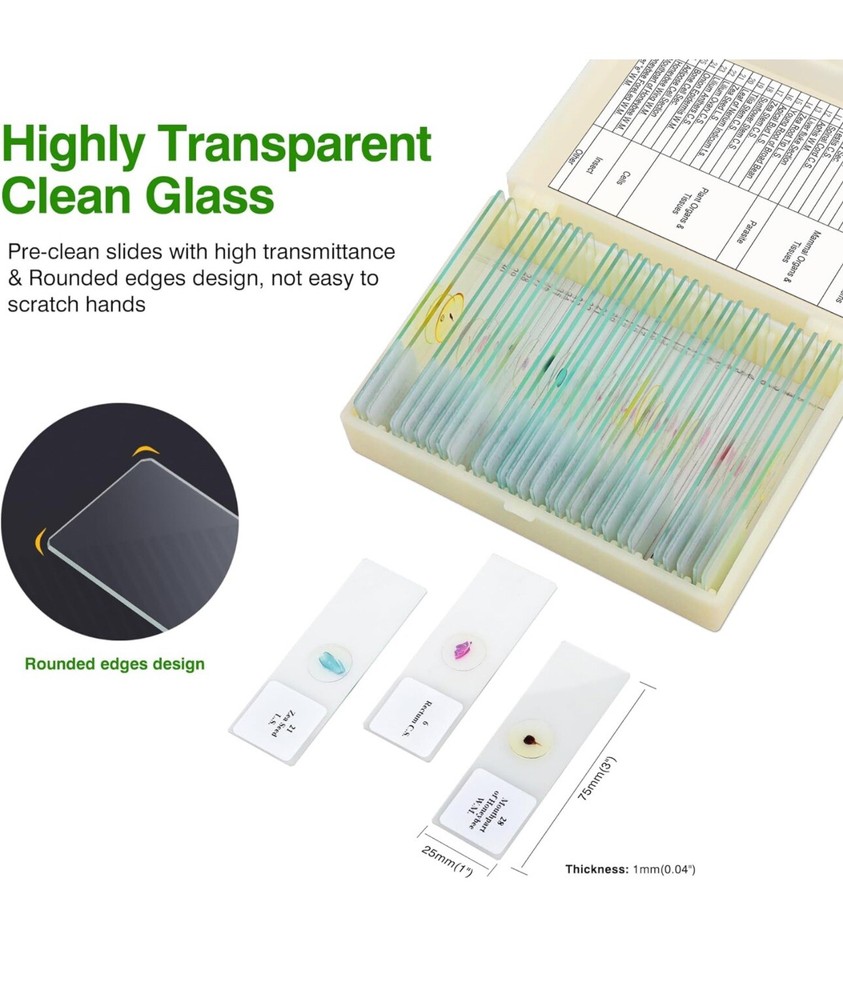 30 Microscope Slides with Specimens for Kids, Prepared Microscope Slides for ...
