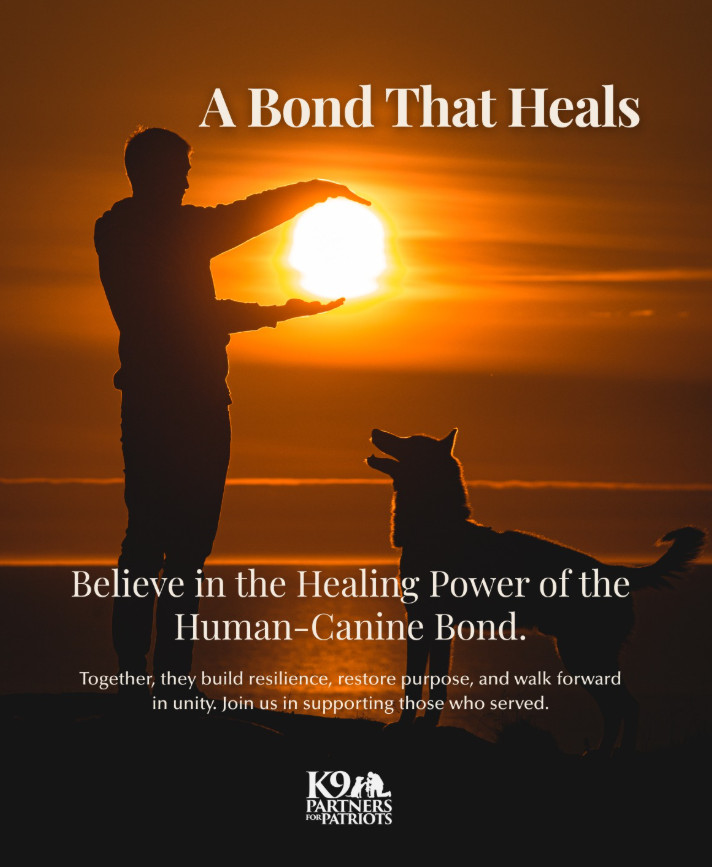 Patch US Delayed Entry Program Embroidered Vintage 1960-70's