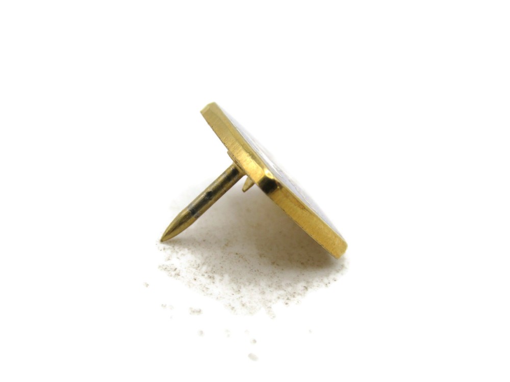 MSPS Lettered Pin Blue White & Gold Tone