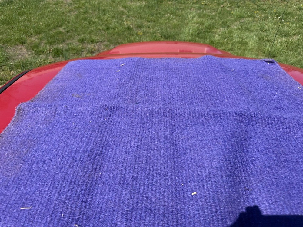 Horse showing tack essentials