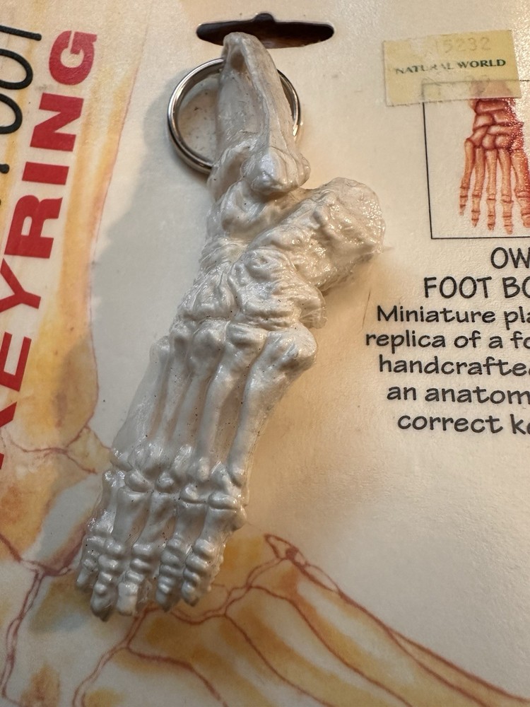 Vintage Brainstorms Skeleton Foot Bone Keyring MOC Anatomical Replica