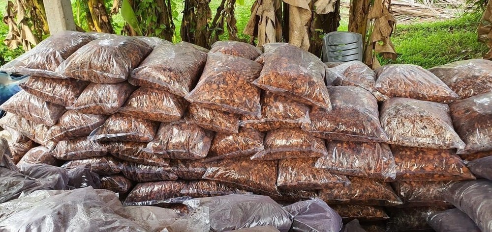 coconut husk chips coco free shipping