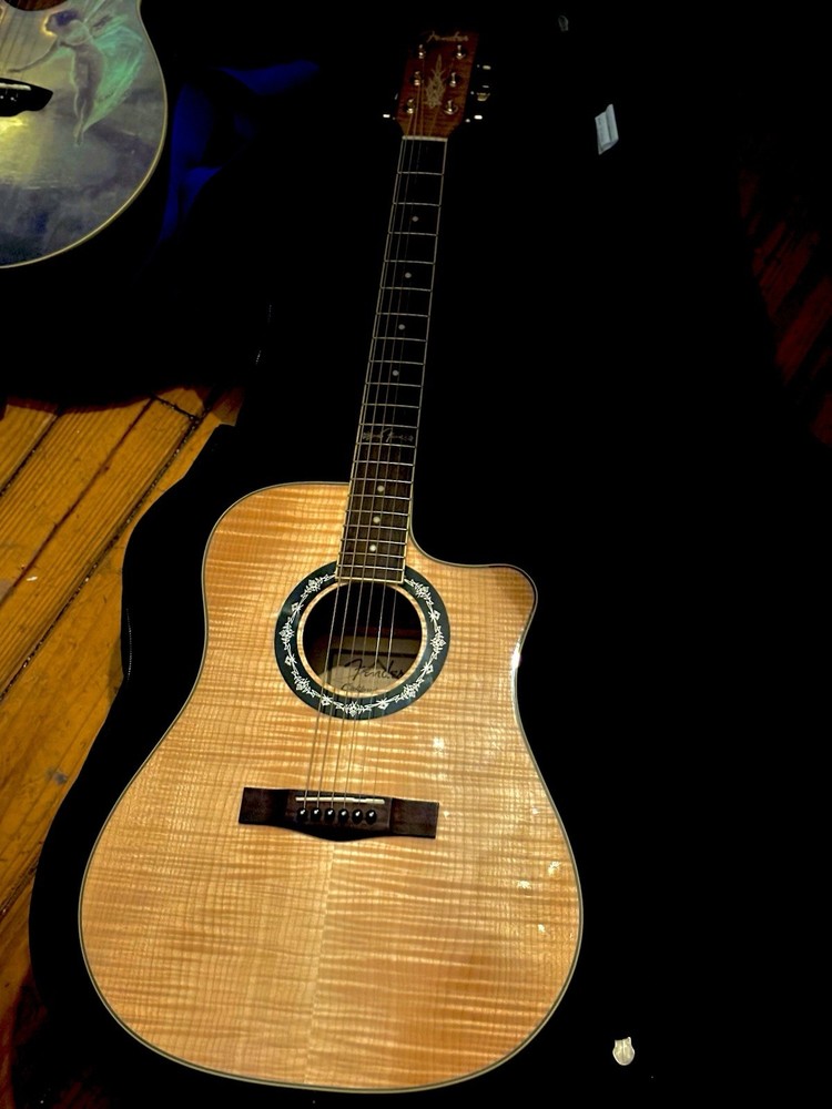 Electric Acoustic Guitar