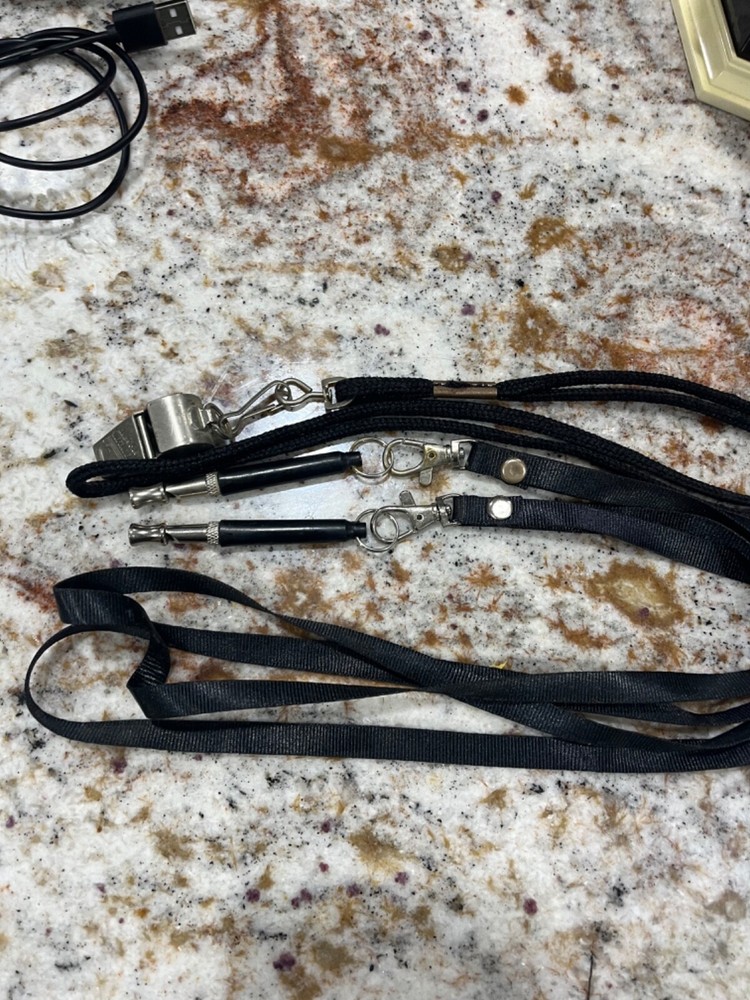 Ultrasonic dog barking device