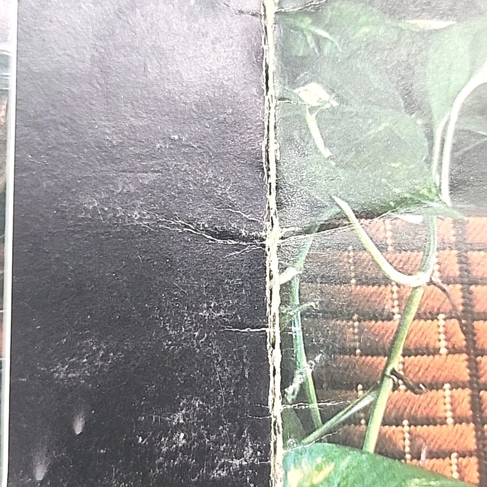 Plastic Canvas Pattern Leaflets Leisure Arts / Columbia - Minerva