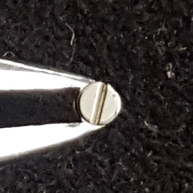 Omega Screw Part Number 2255