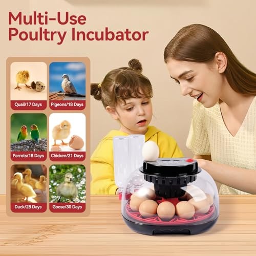 for Hatching Eggs, Chicken Egg Incubator with Automatic Egg 12 Egg Incubators