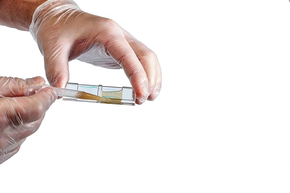 Bundle of 2 McMaster Method Microscope Slides, FEC (Fecal Egg Count) Double C...