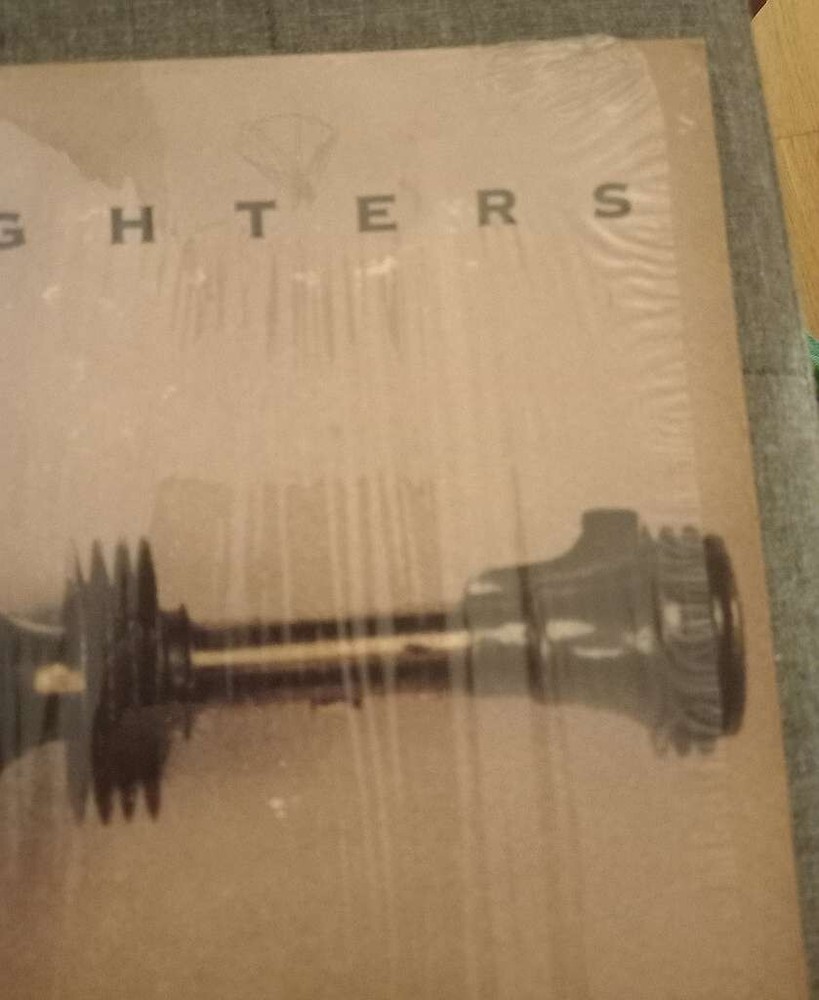 foo fighters - foo fighters 1st USA Pressing