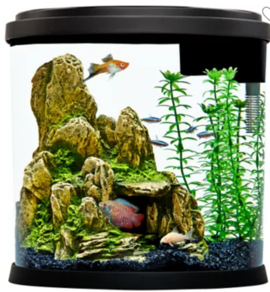 Bowfront 3.5-Gal Glass Aquarium Kit EF-S Element with LED Lighting