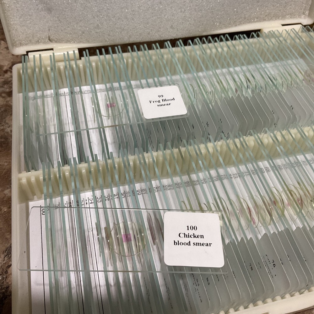 Lakwar 50pc Prepared Slides With Specimens L82711