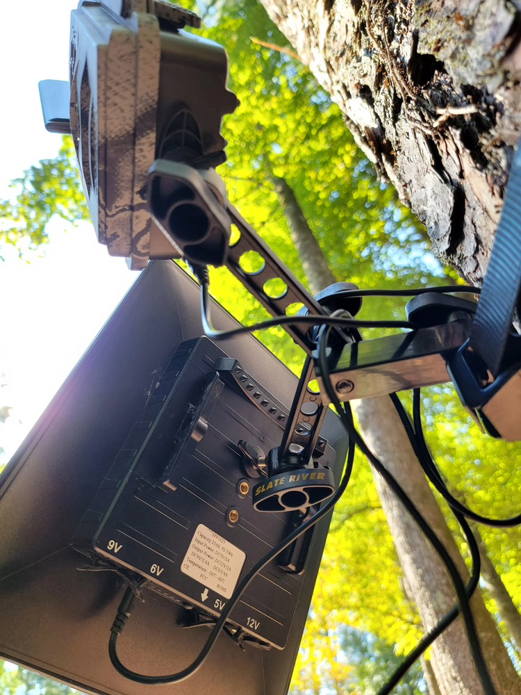 Dual Arm Trail Camera Mount Ratchet Strap