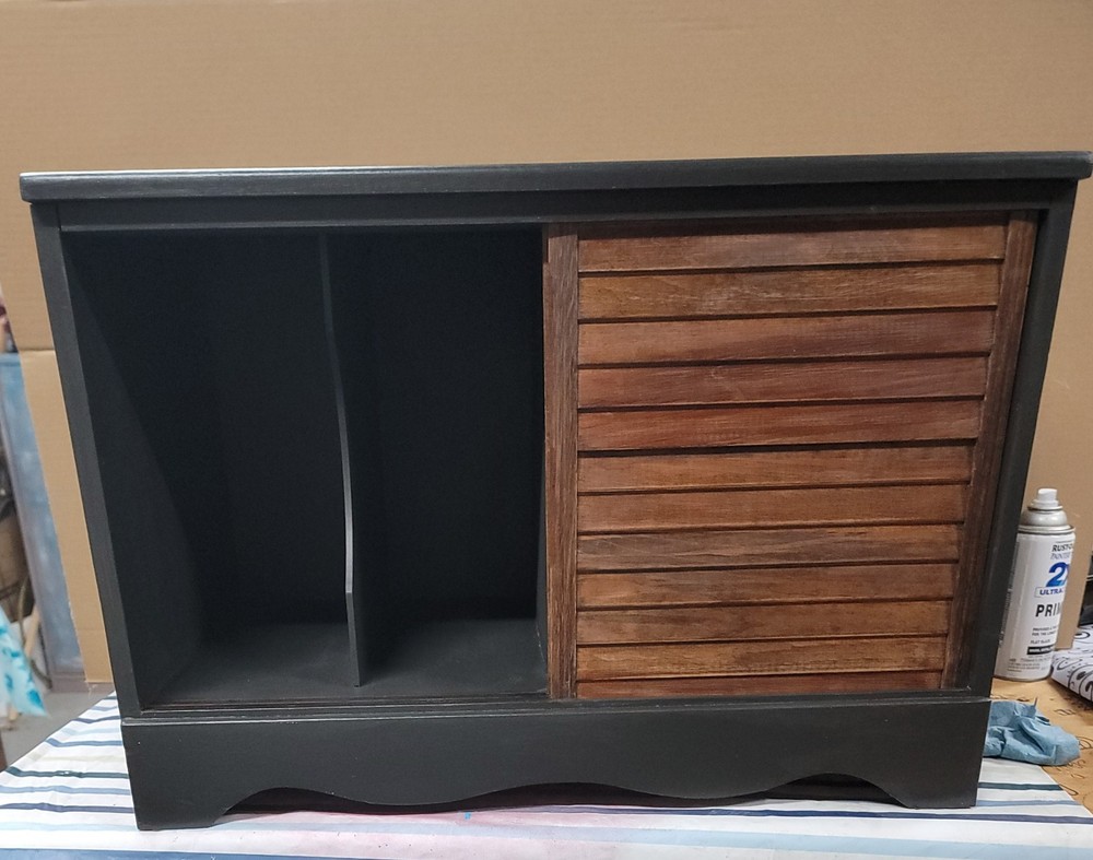 Album Storage or Mini Bar