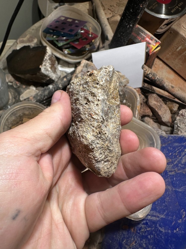 Dinosaur bone rough **hxtled end cut.