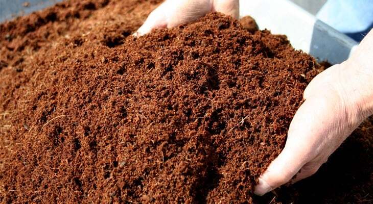 Ceylon Coco Coir Coco Peat Natural Oraganic Compost Hydroponic Growing Media