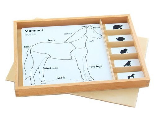 Animal Puzzle Activity Set
