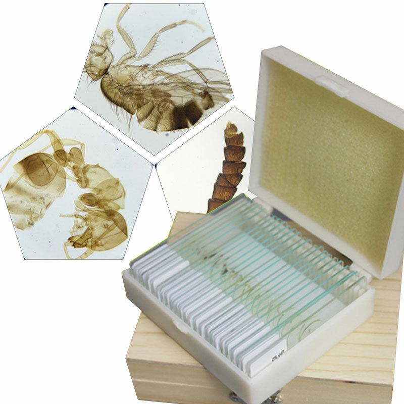 Glass Microscope Prepared Slides Set for Lab Biology Study 25PCS