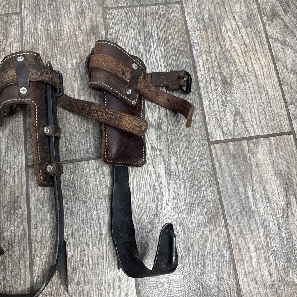 Buckingham Tree Climbing Spikes