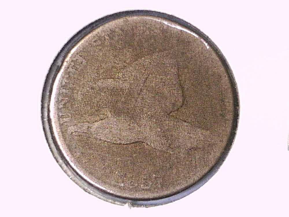 1857 Flying Eagle Cent Genuine Raw Ungraded 00441