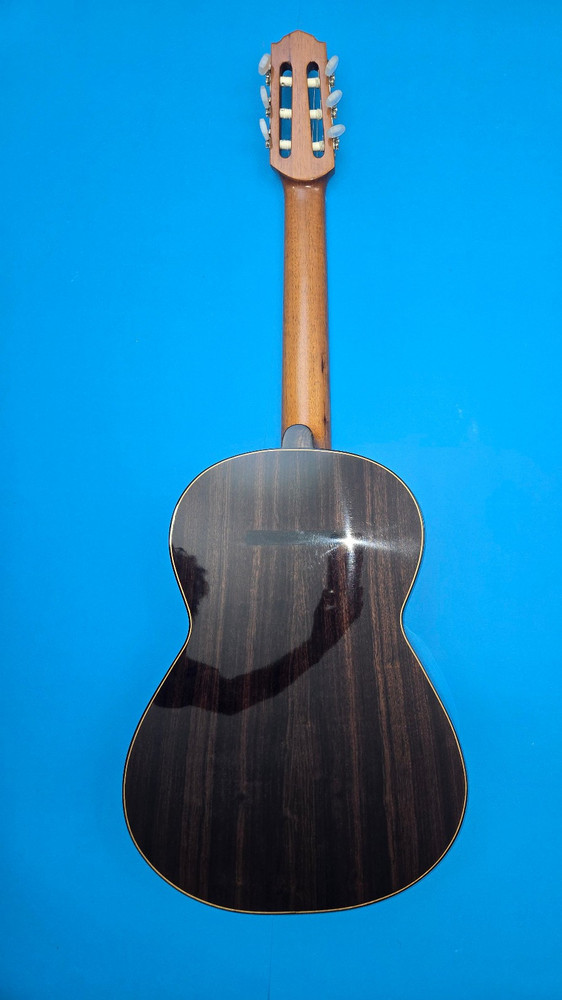 GeronimoGarcia Concert Classical Guitar