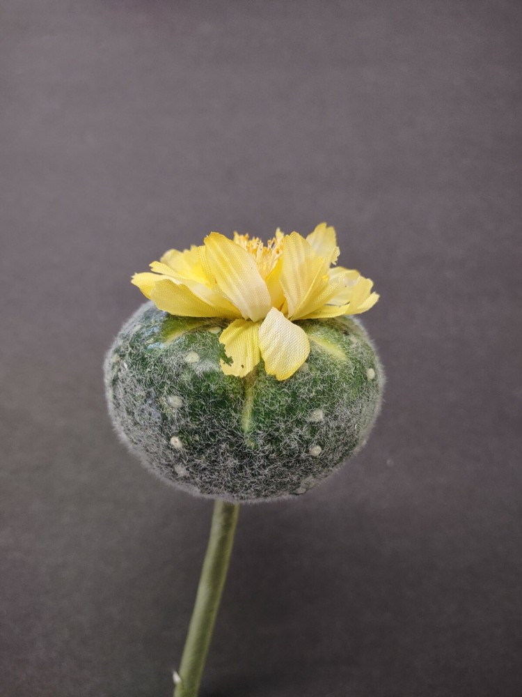 Artificial mini blooming barrel cactus. TWO pieces