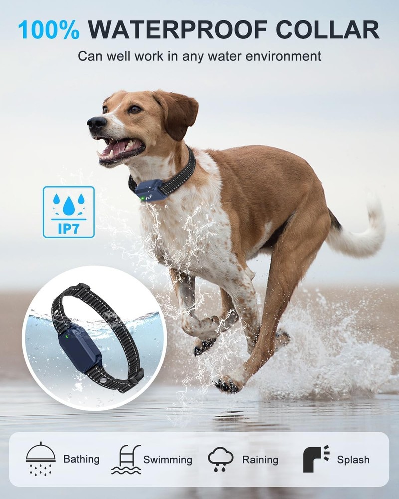 Sodog No Shock Dog Training Collar with Remote