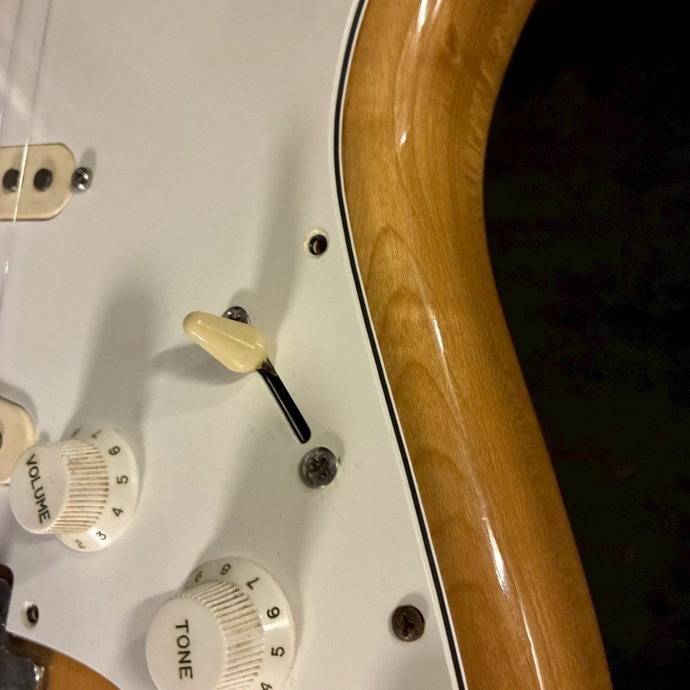 Fernandes BURNY CUSTOM ST Natural【4.35㎏】