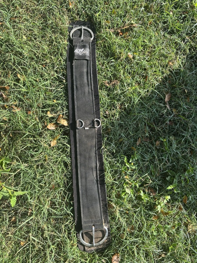 Professional Choice Western Cinch 36”