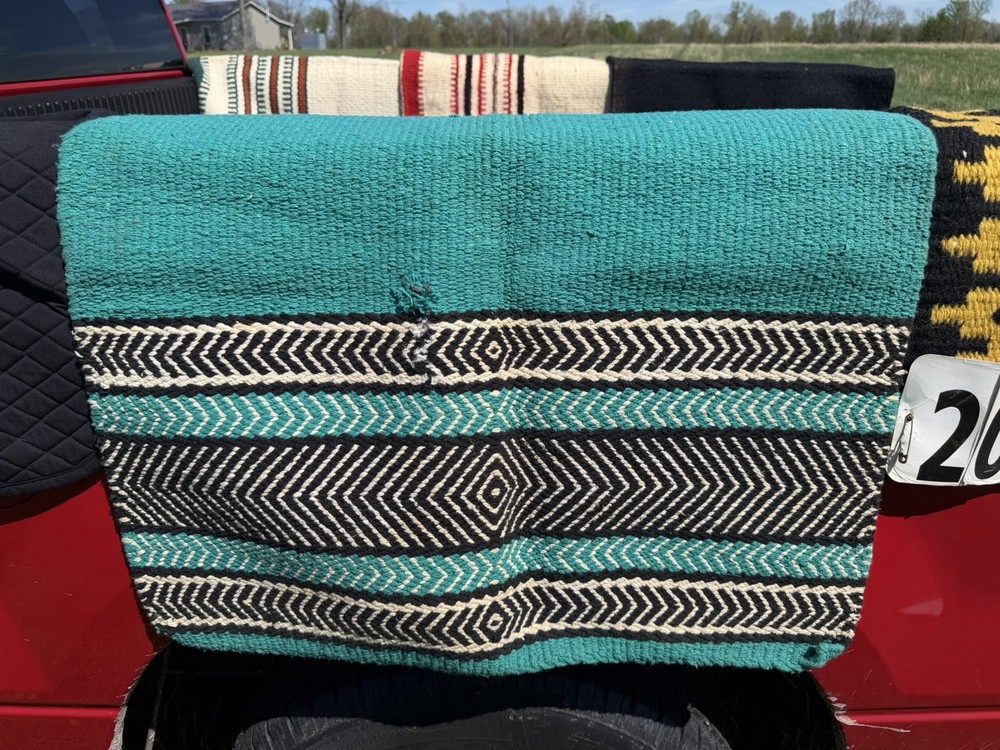 Horse showing tack essentials