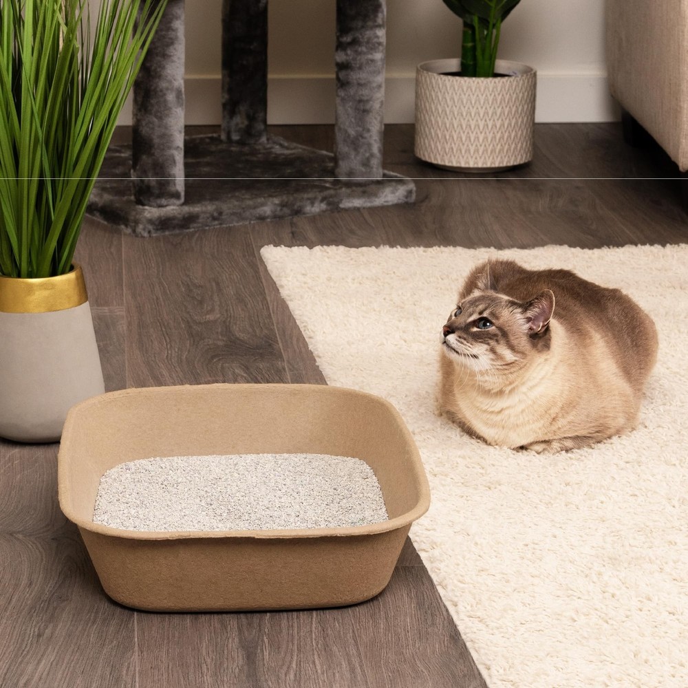 Kitty Sift Disposable Cat Litter Box Large, 6 Count, Durable Portable for Tra...