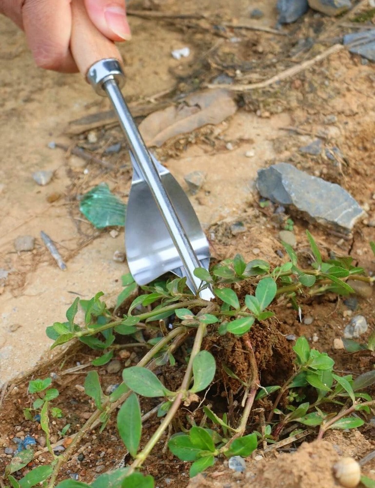 Sharp Stainless Steel Weeder Tools - L-Shape and Fork for Quick Weed Removal