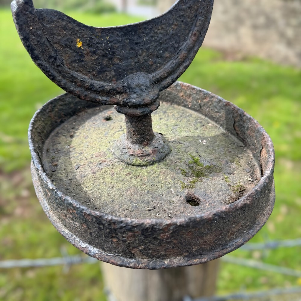 Antique Victorian Cast Iron Boot Scraper Decorative Garden Painted