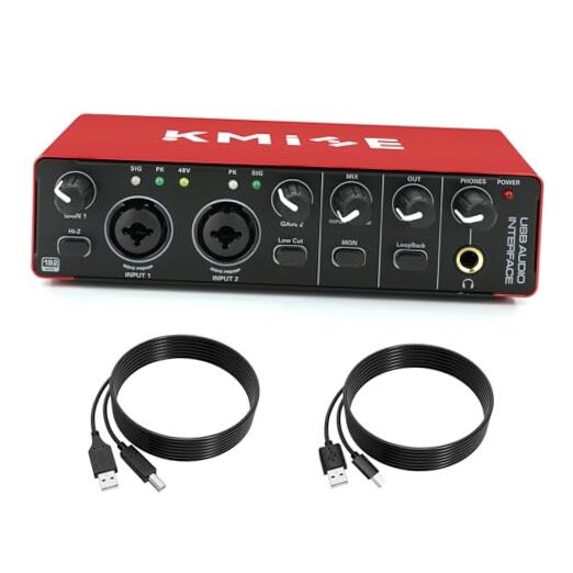 USB Audio Interface for Guitarists, Vocalists, Podcasters or playback studio