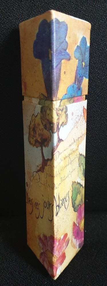 Decorative Art Pencils HB Triangular Presentation Box Gift