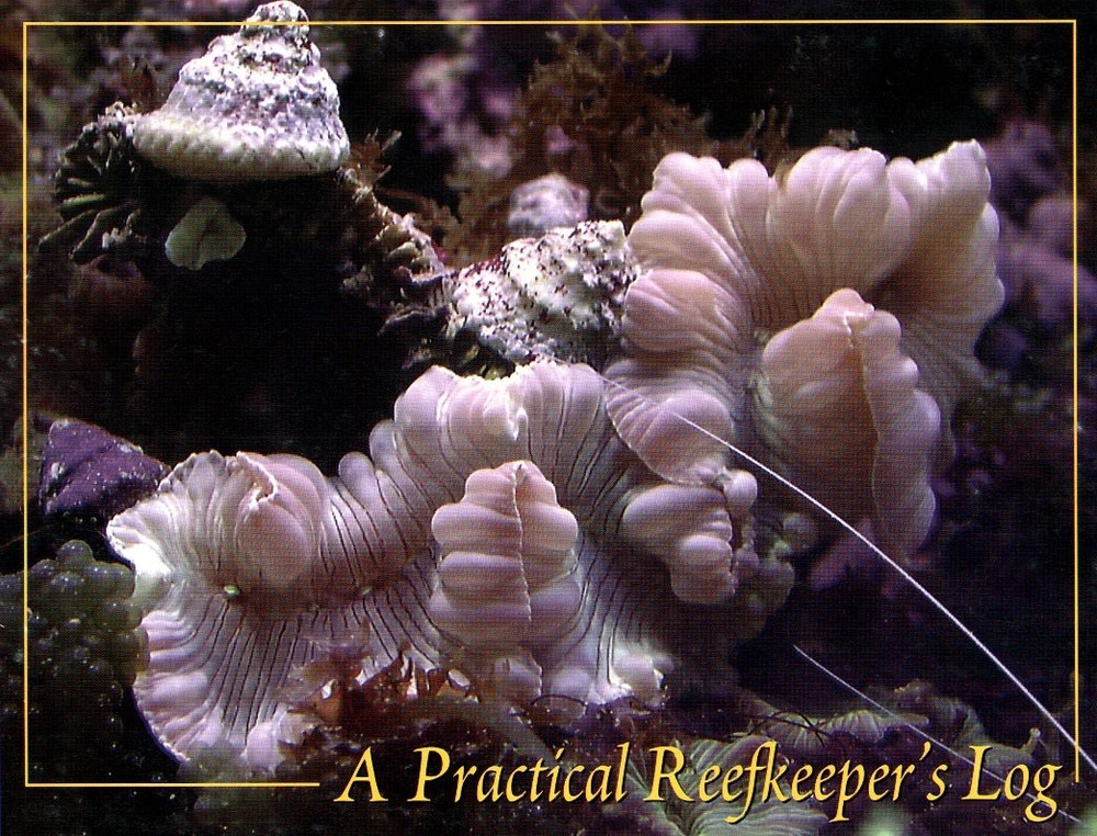 A Practical Reef Keeper's Log - Aquarium Keeping Log Book