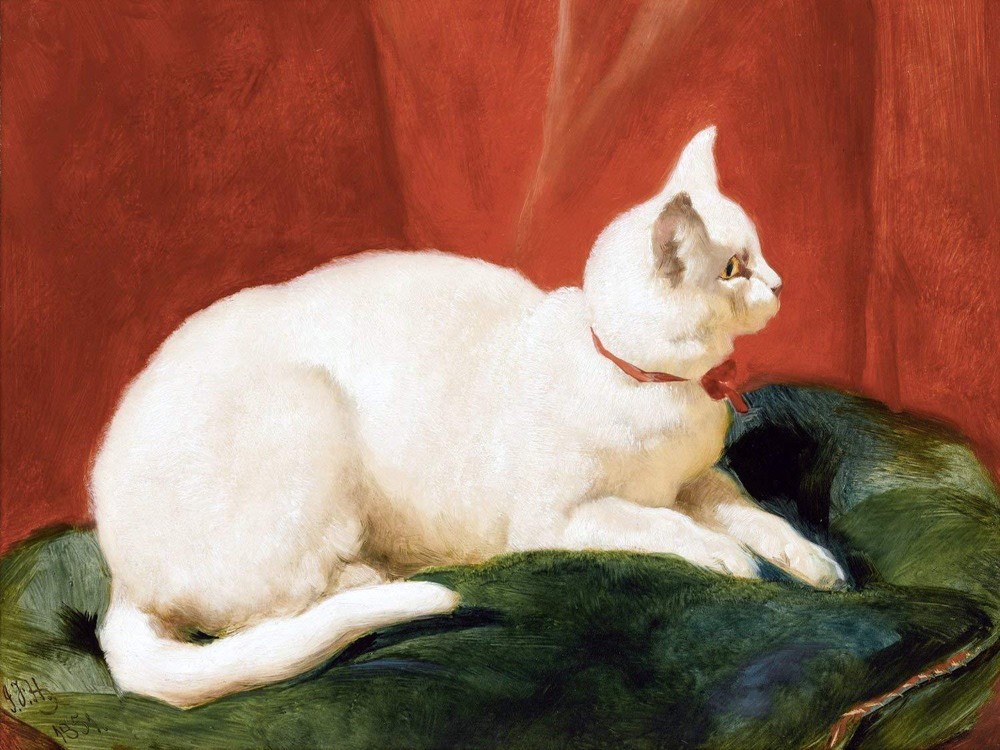 A WHITE CAT by J. Herring Accent Tile Mural Kitchen Wall Backsplash Ceramic 10x8