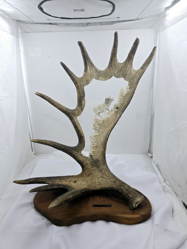 Monte Baker Moose Antler Carving 28x22"