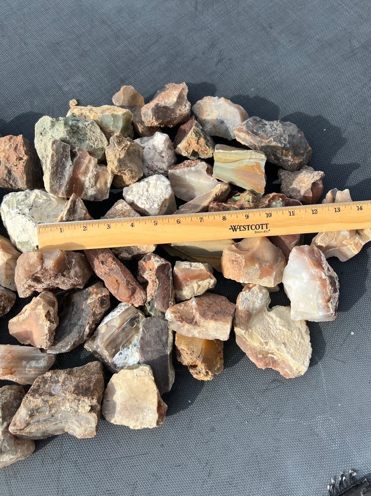 Owyhee Agate/Jasper Rough Lot 30.5 lbs (LL4)
