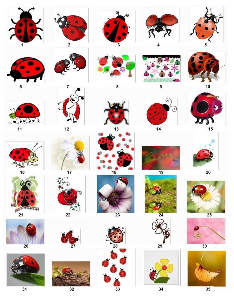 30 Personalized Address Label LadyBugs