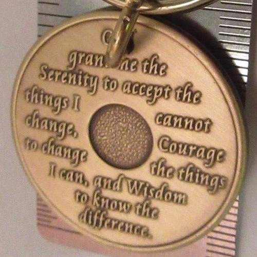 Alcoholics Anonymous 31 Year AA Bronze Medallion Key Chain Token coin keyring