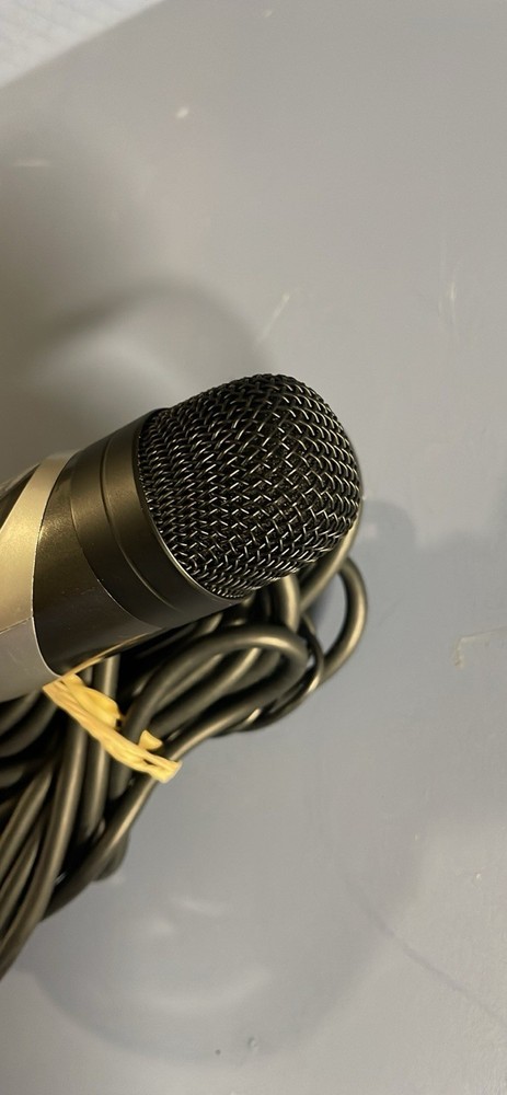 Karaoke Microphone