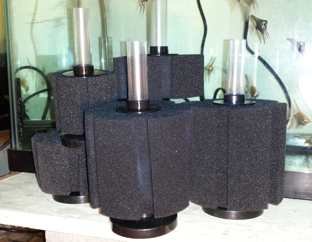 Biological Sponge Filter